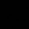 zrintika
