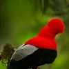 johainaon