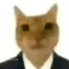 user9zosmrqgqi