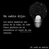victorandrade2204