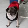 pugpug079