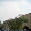ghosjshjkpo5555