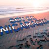 andresflores328