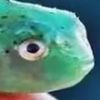 craigel