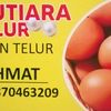 mutiarapoultryshop