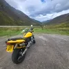 bumblebeebiker22