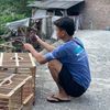 frdyyngrh