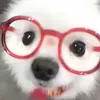 chezka.margaux_