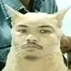 lilrayboii