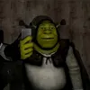bahshajhdbsh