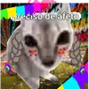gatomalokaa