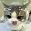 meomeo_12376