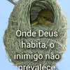 lanilribeiro1