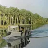 mazinalbasri