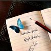user2979084768424