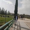 demoluibrahim