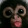 user_213919292