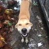 xuan_dunq