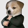 gigo_oos