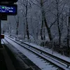 zahra_331b