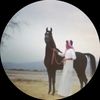 saloom221