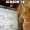 shapoclyako