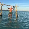 danjeanes22