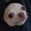helumii