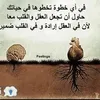 .su.r2