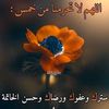 abakar515salah