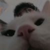 aangx._