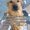 hernandezevy743