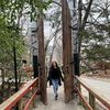 mary_3206