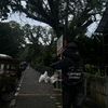 rehanmwln