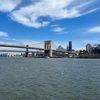meredithinnyc