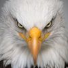 i_focused_