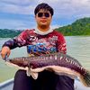 amsyarfish