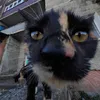issoryau