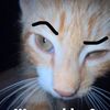 silas