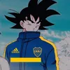 feli__011