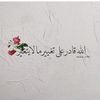 ramyfayed3