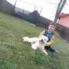 dannutsandu
