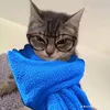 saharabezz