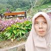 hariyanihariyani036