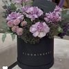 alayah_222