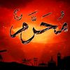 shouqaib512