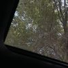 toleen_201444