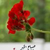 user8292674018920