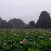 trungnamhai12