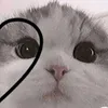 isha.mae3456